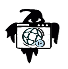 Domain into IP